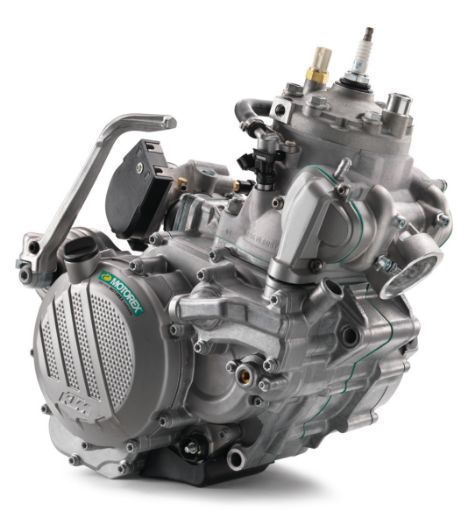 Slika Engine 300 EXC             2018