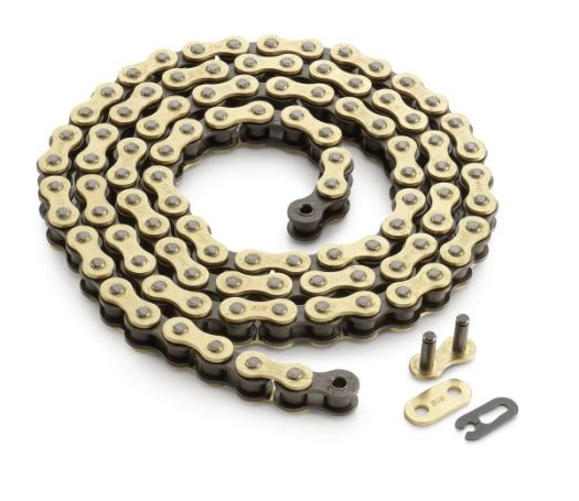 Slika Chain 520DMS G&B 100 Rolls